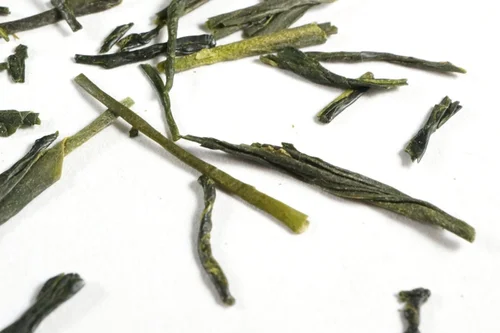 Gyokuro shade-grown green tea
