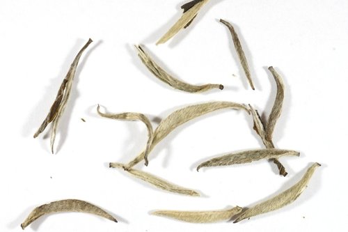 Silver Needle white tea buds