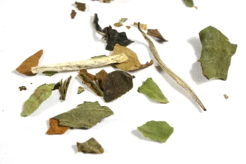 White Peony loose-leaf white tea