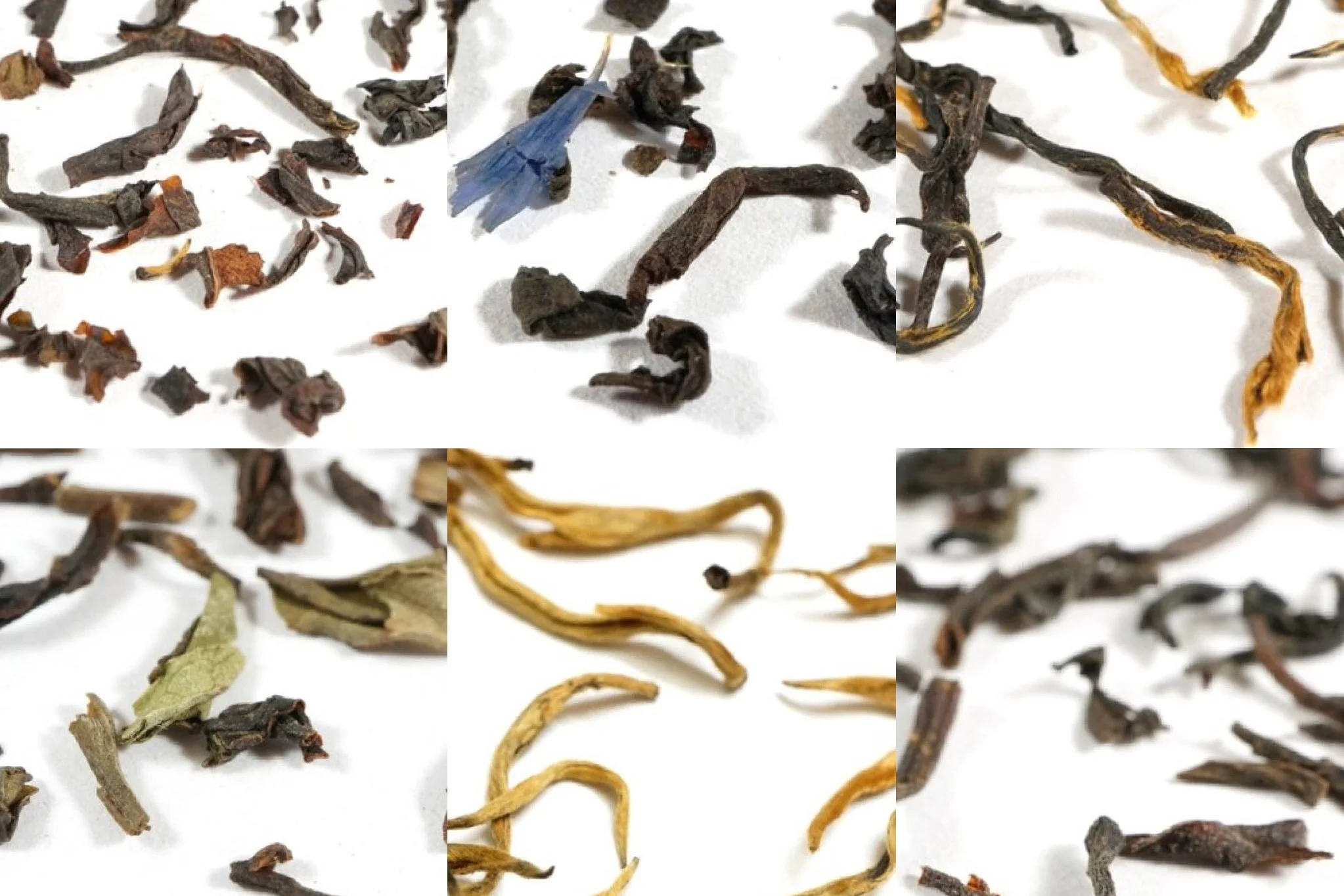 BestSellerBlkTea.jpg