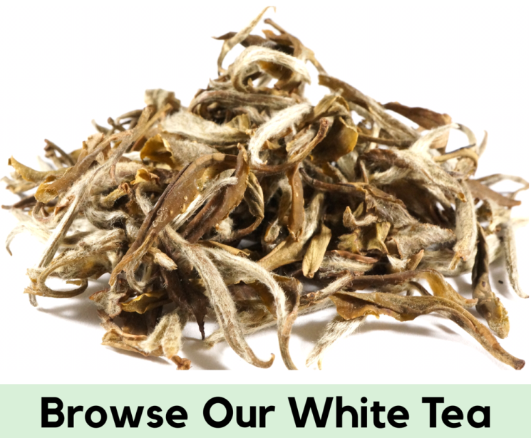 Browse Our White Tea