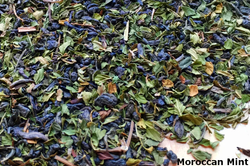 MoroccanMint-2.jpeg