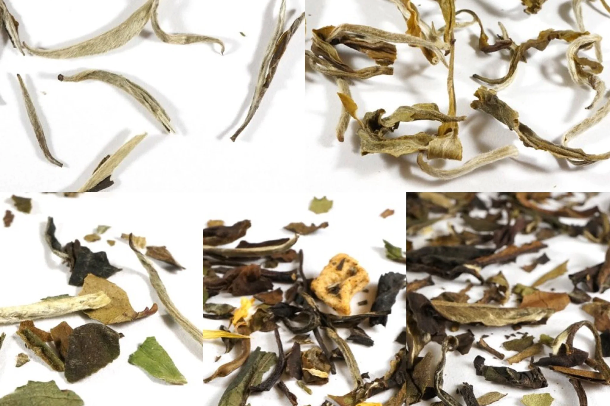 WhiteTea.jpg