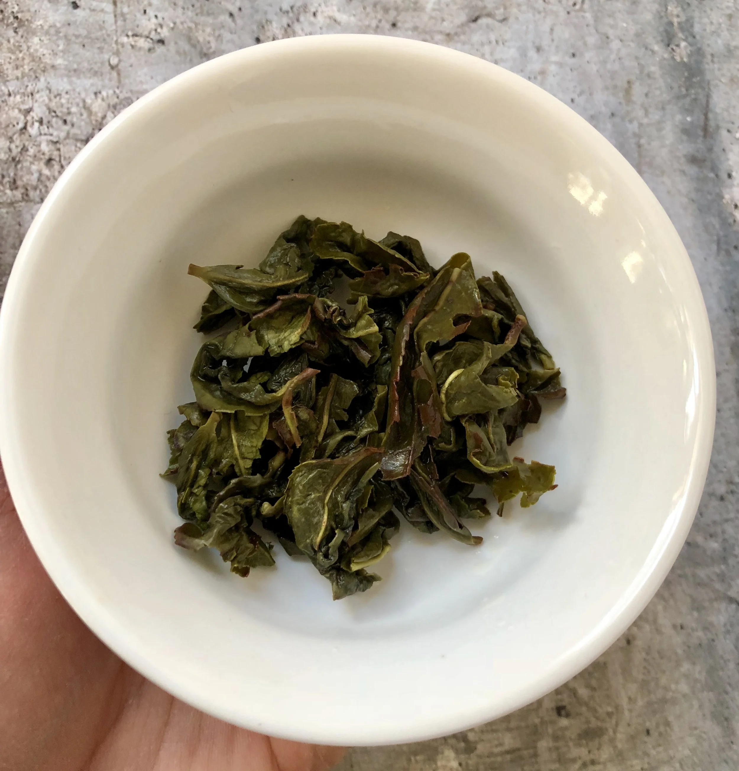 Pictured here is the infused leaves of the lightly oxidized Jade Oolong tea. It is noticeable that the edges of the leaves are bruised while the overall appearance of the leaves remained green. 