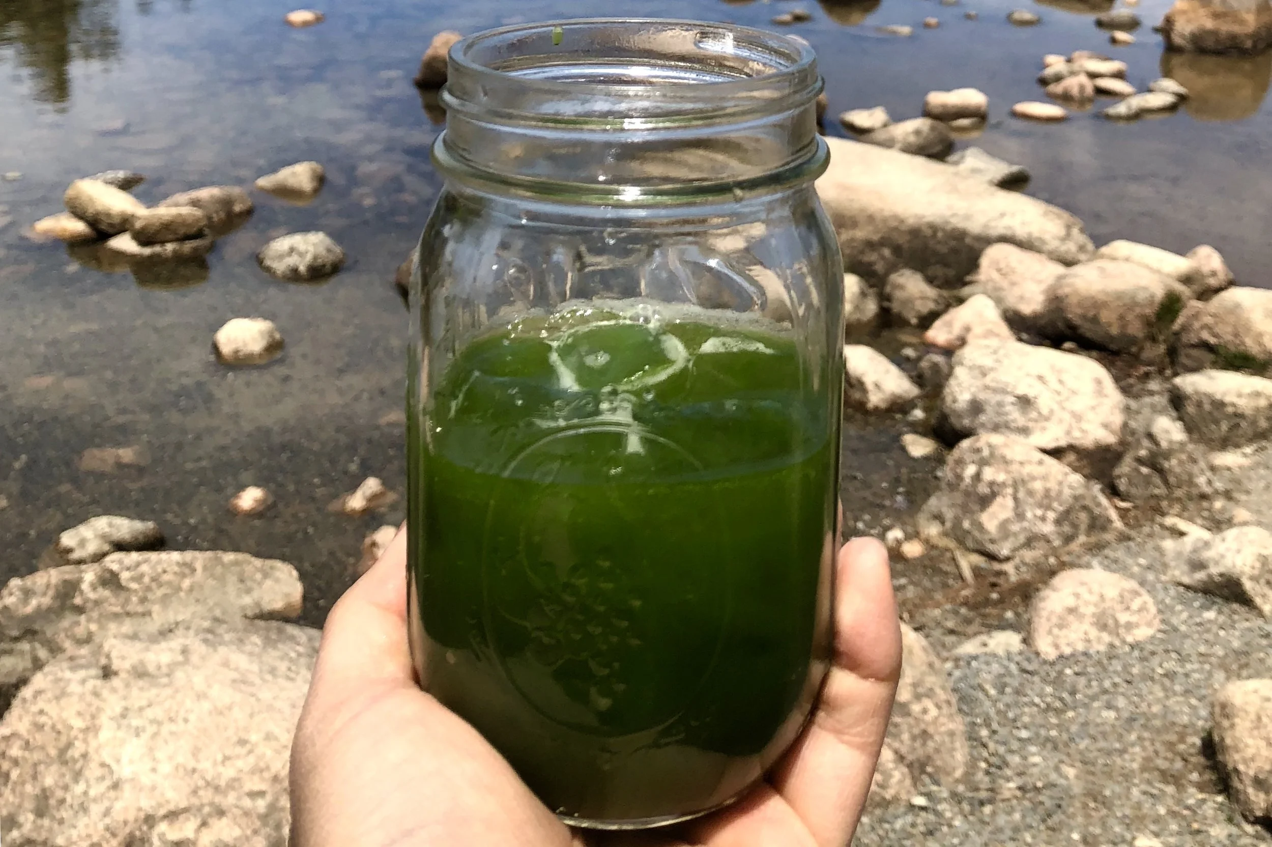 1F7E8DB1-B2FD-47EF-8D00-174EDA8AAA32