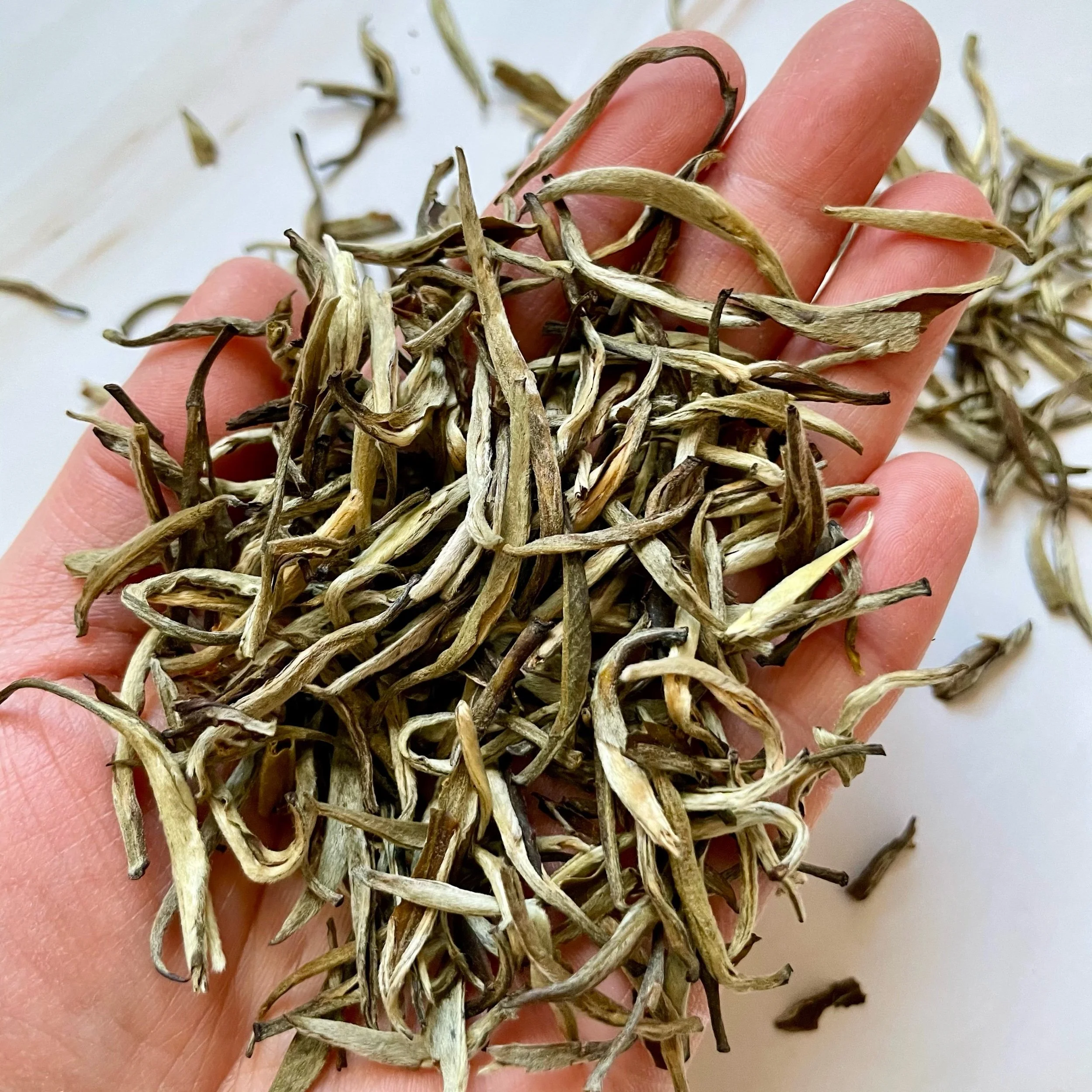 What Really is White Tea