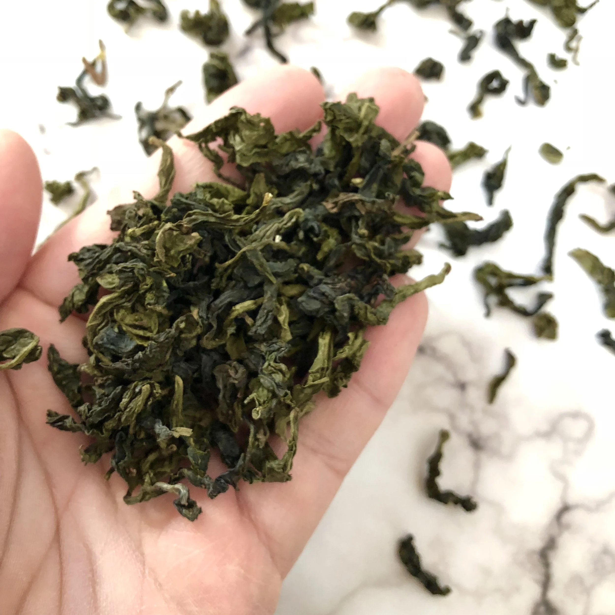 Pouchong Oolong