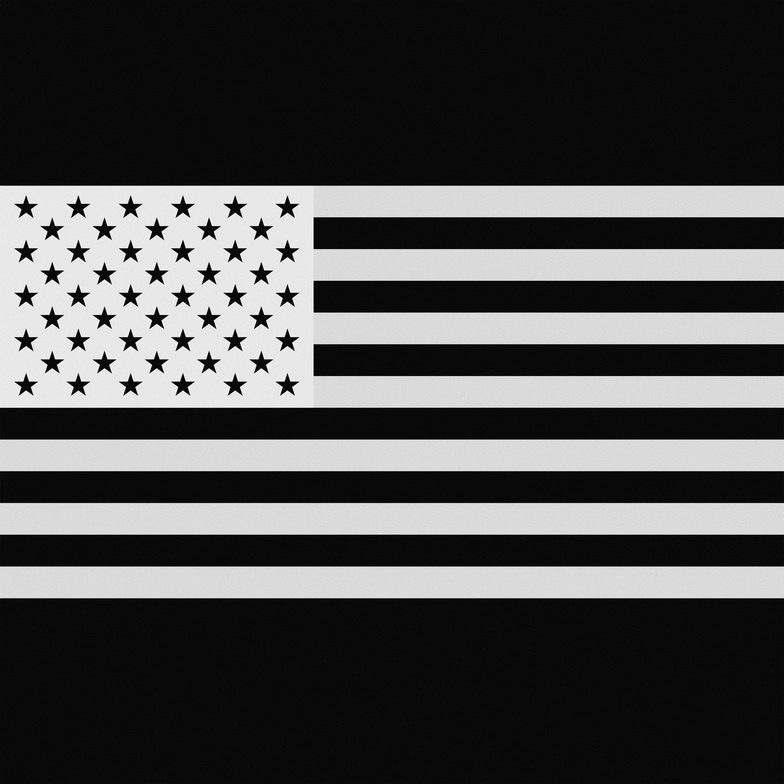 Flag inverted BW.jpg