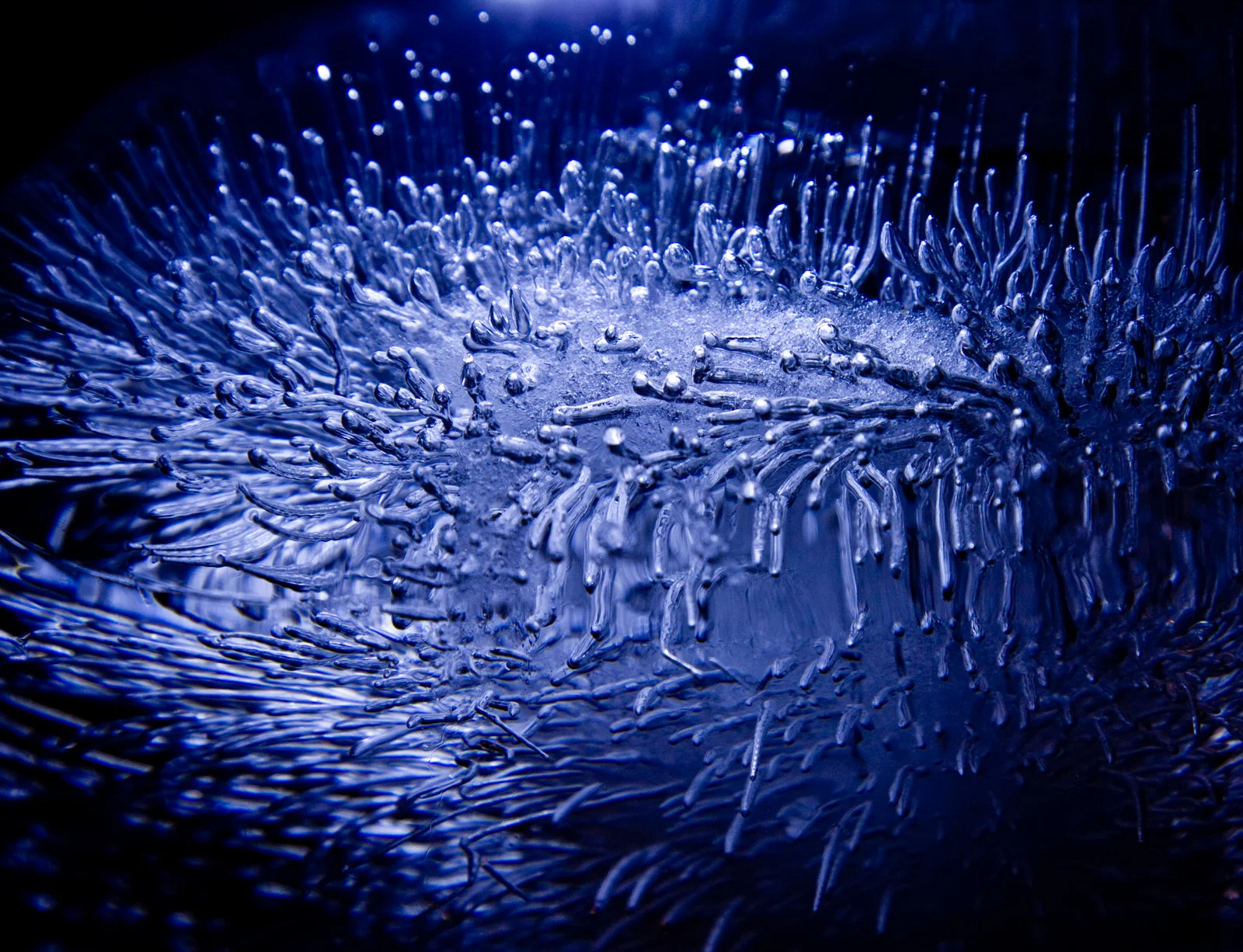 SB site 25 PHOTO-11.jpg