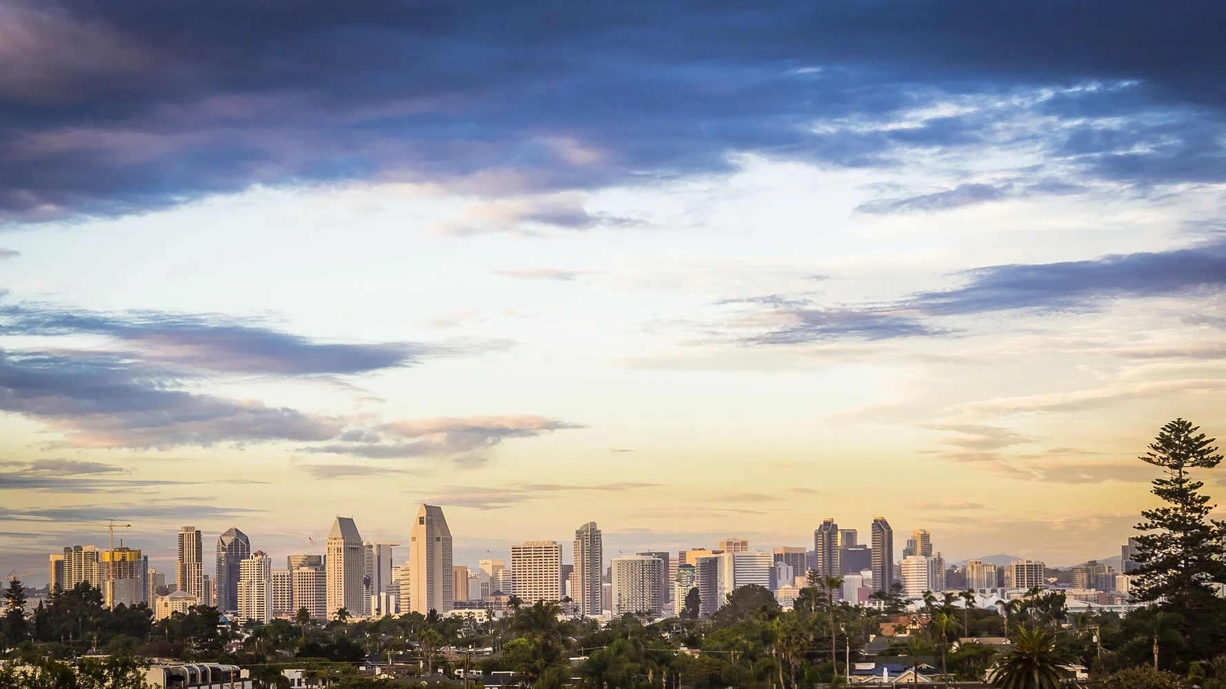 San Diego Skyline
