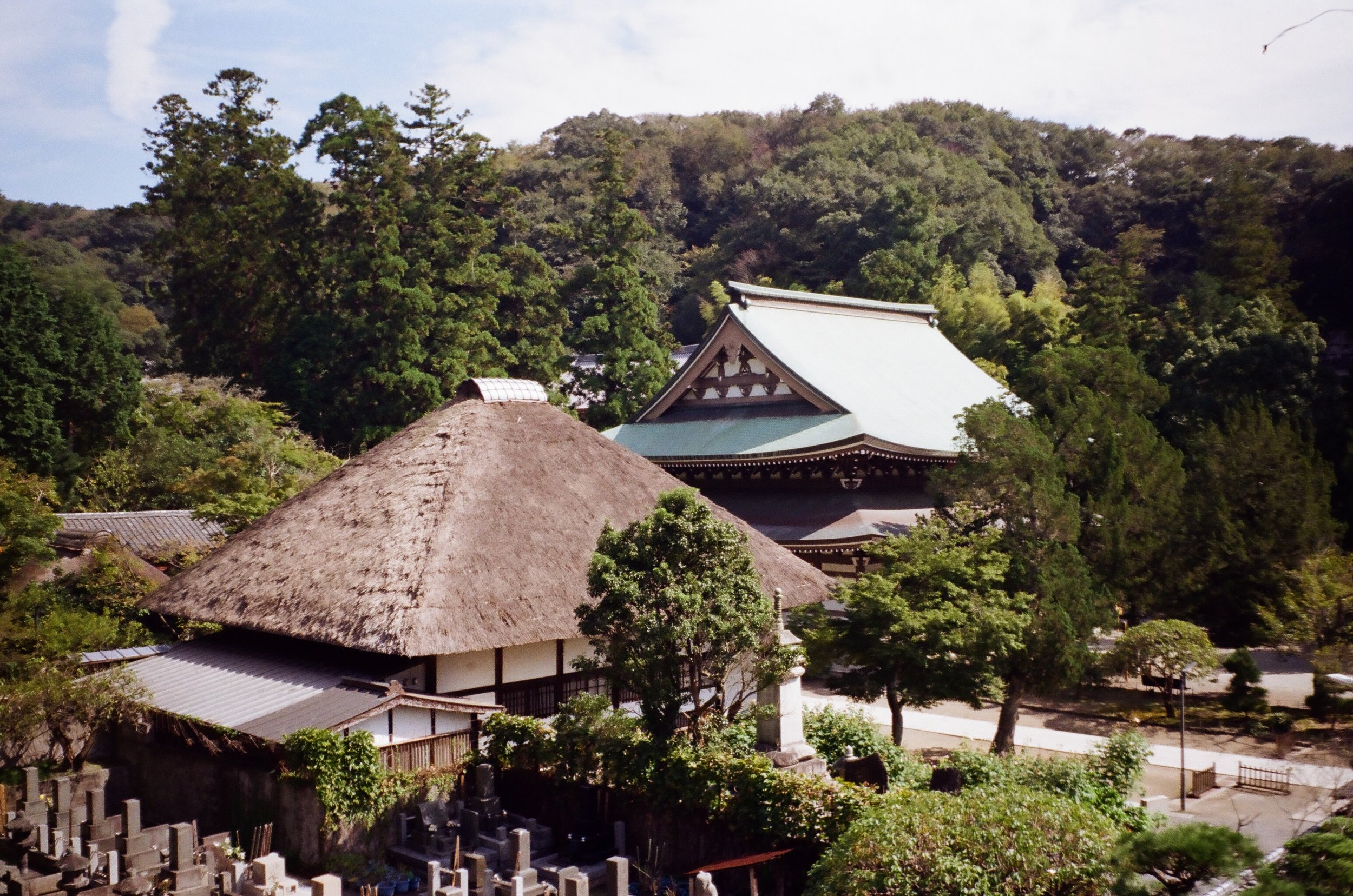 08-JAPON-argentic-Kamakura-octobre-2016-0005.jpg