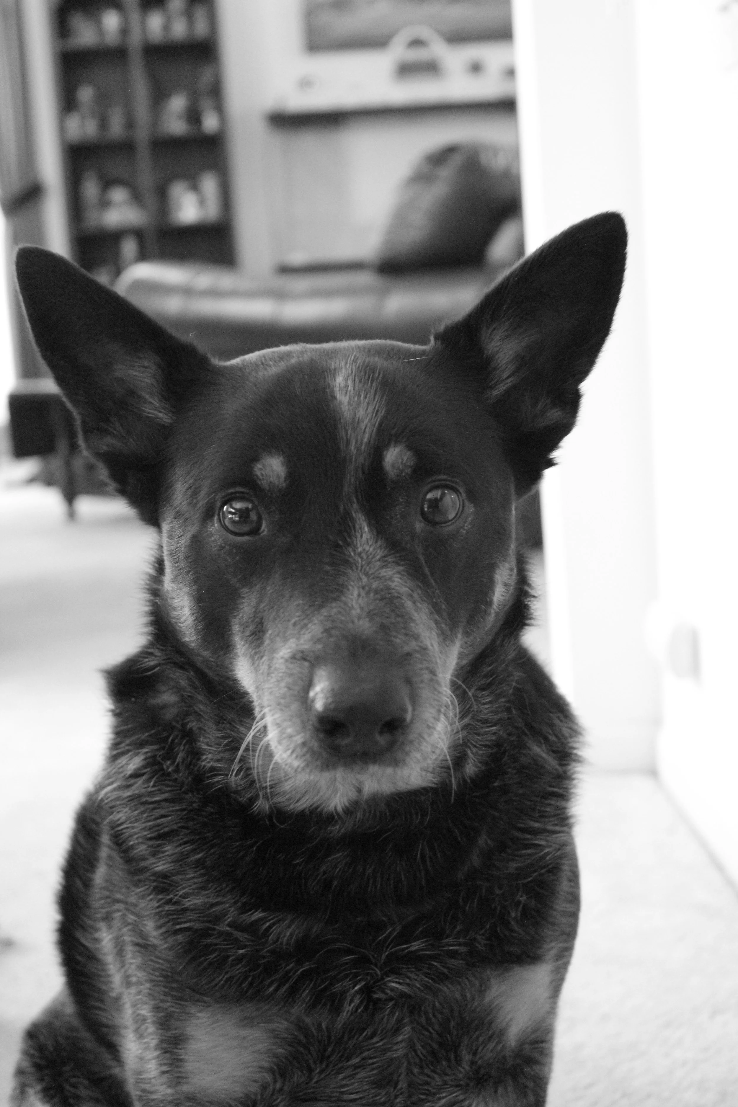 Nov 25 2012-April 2013 176.JPG