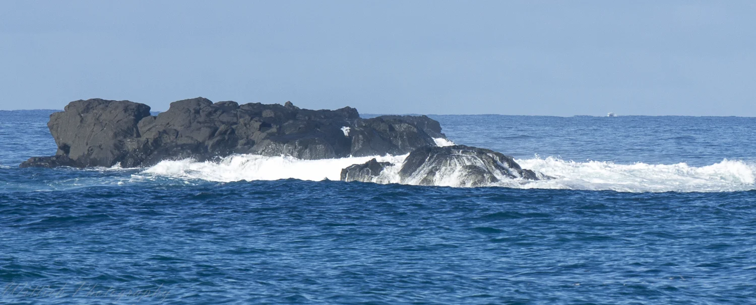 20180129-hawaii days 1-4_MG_1135.jpg