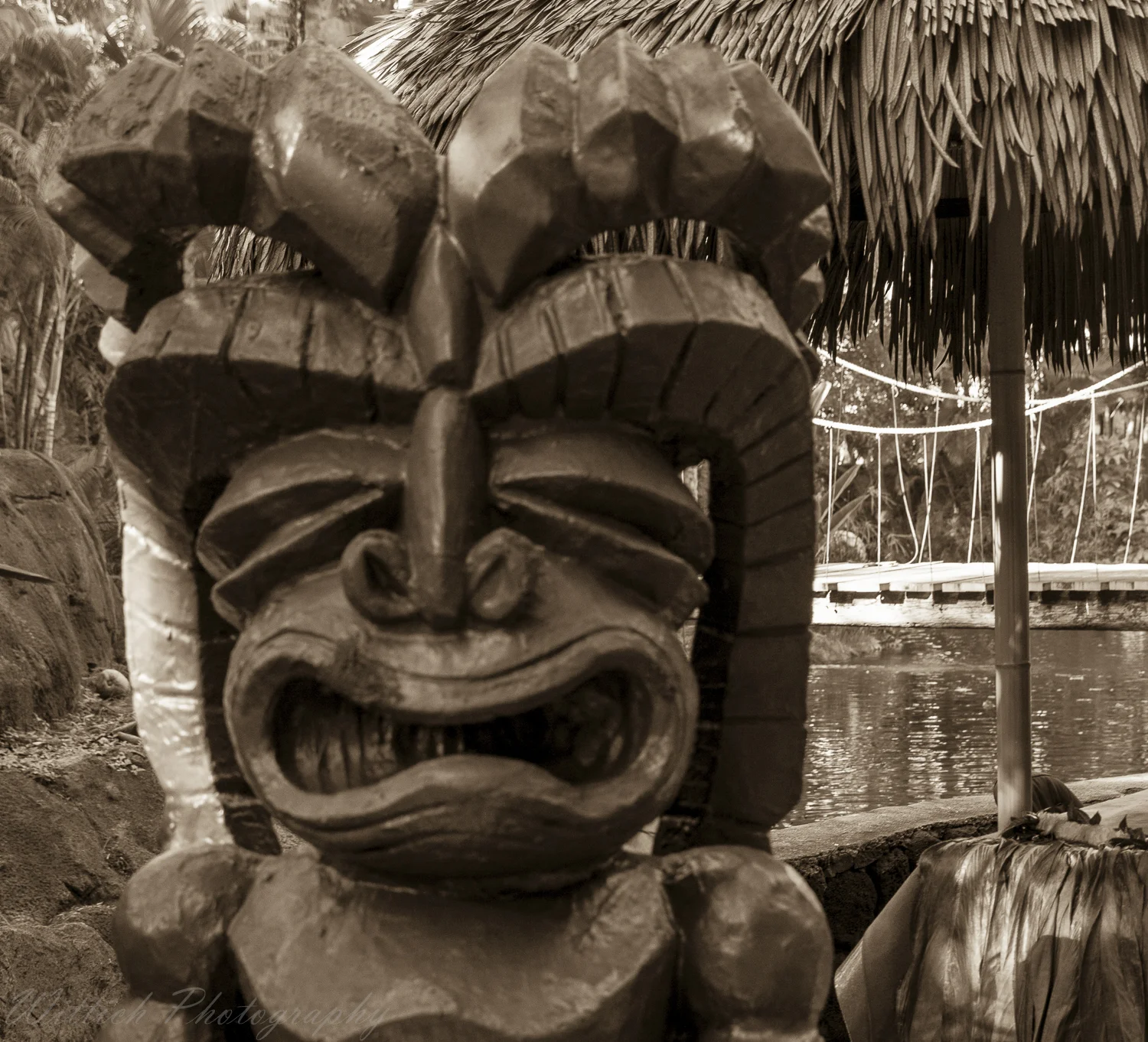 20180214-untitled shoot20180129-hawaii days 1-4_MG_1735.jpg