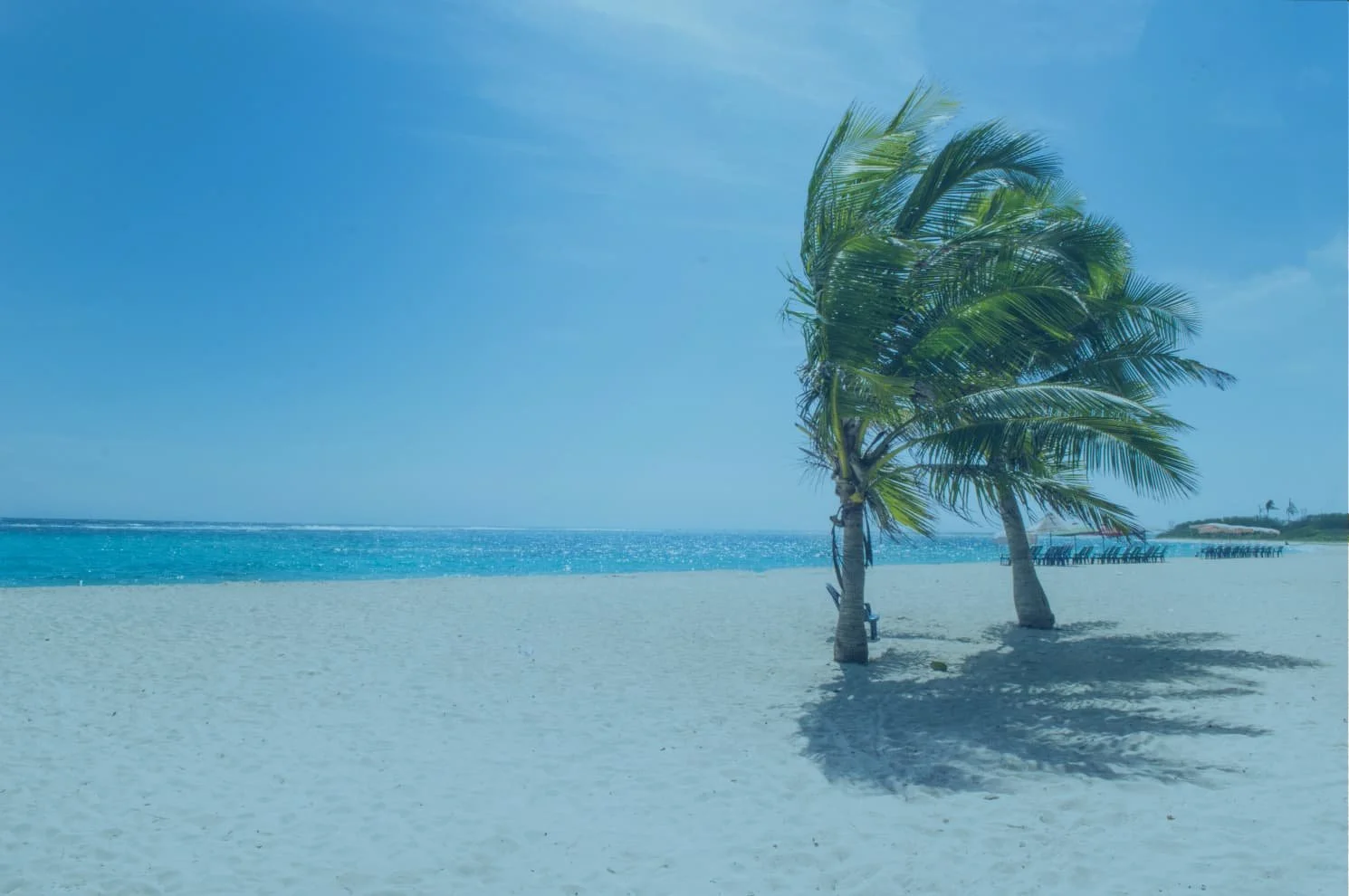 The Pros and Cons of a Relaxed Summer Dress Code ETHIX360