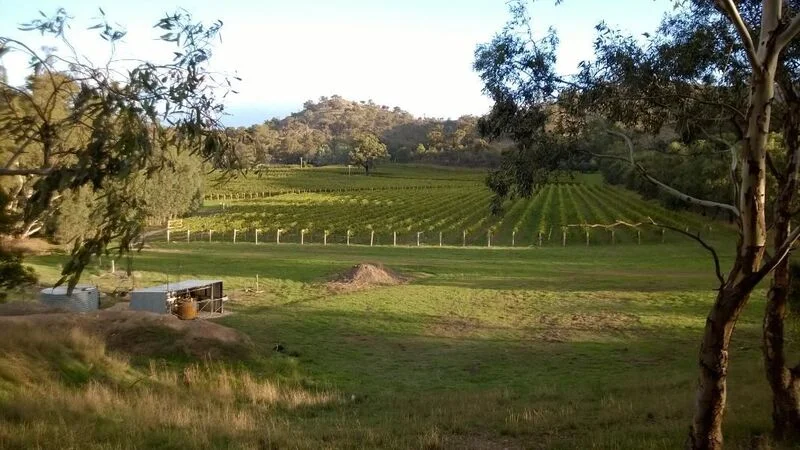 landscape.jpg