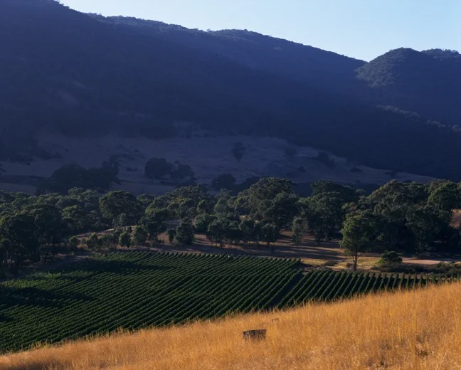 thumb_HORNFELS RIDGE WITH TALLAROOK RANGES_1024.jpg