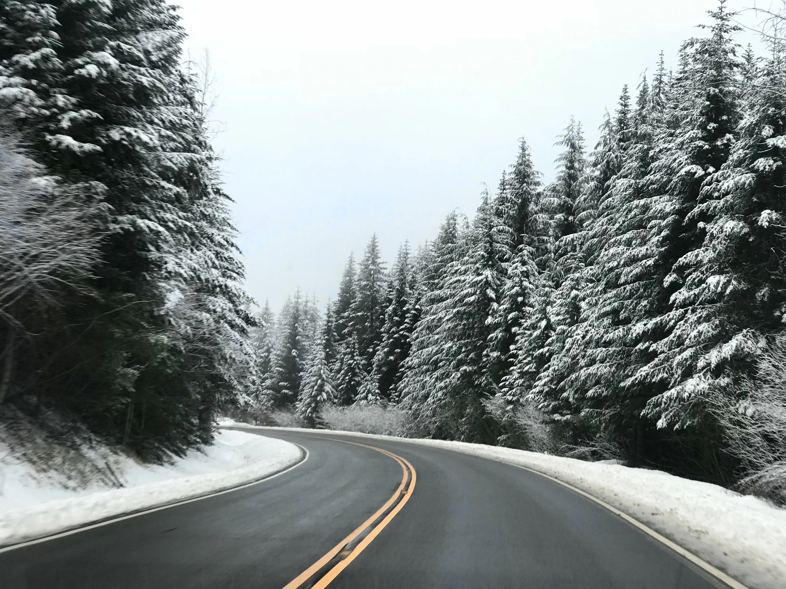 snow 1.jpg
