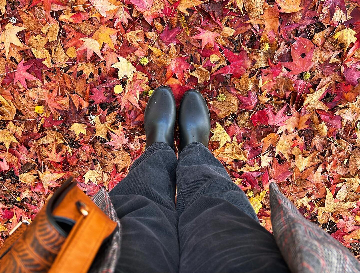 Obligatory fall girl photo 🍁🍂

#theflourishinghippie #hippie #nature #naturephotography #leaves #leaf #fallingleaves #fall #fallvibes #autumn #autumnvibes #autumnequinox #feet #throwback #vintage