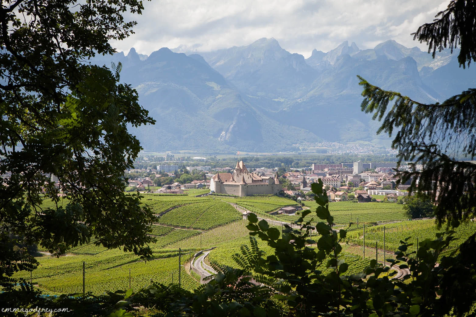 Civil-Wedding-Aigle-Scott1.jpg
