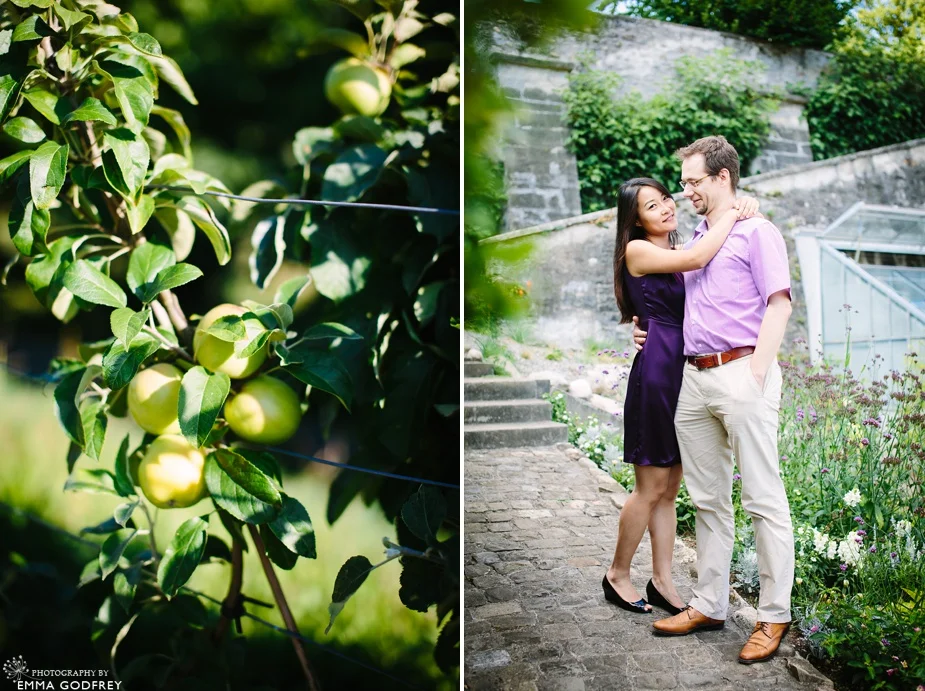 Couple portrait apple tree