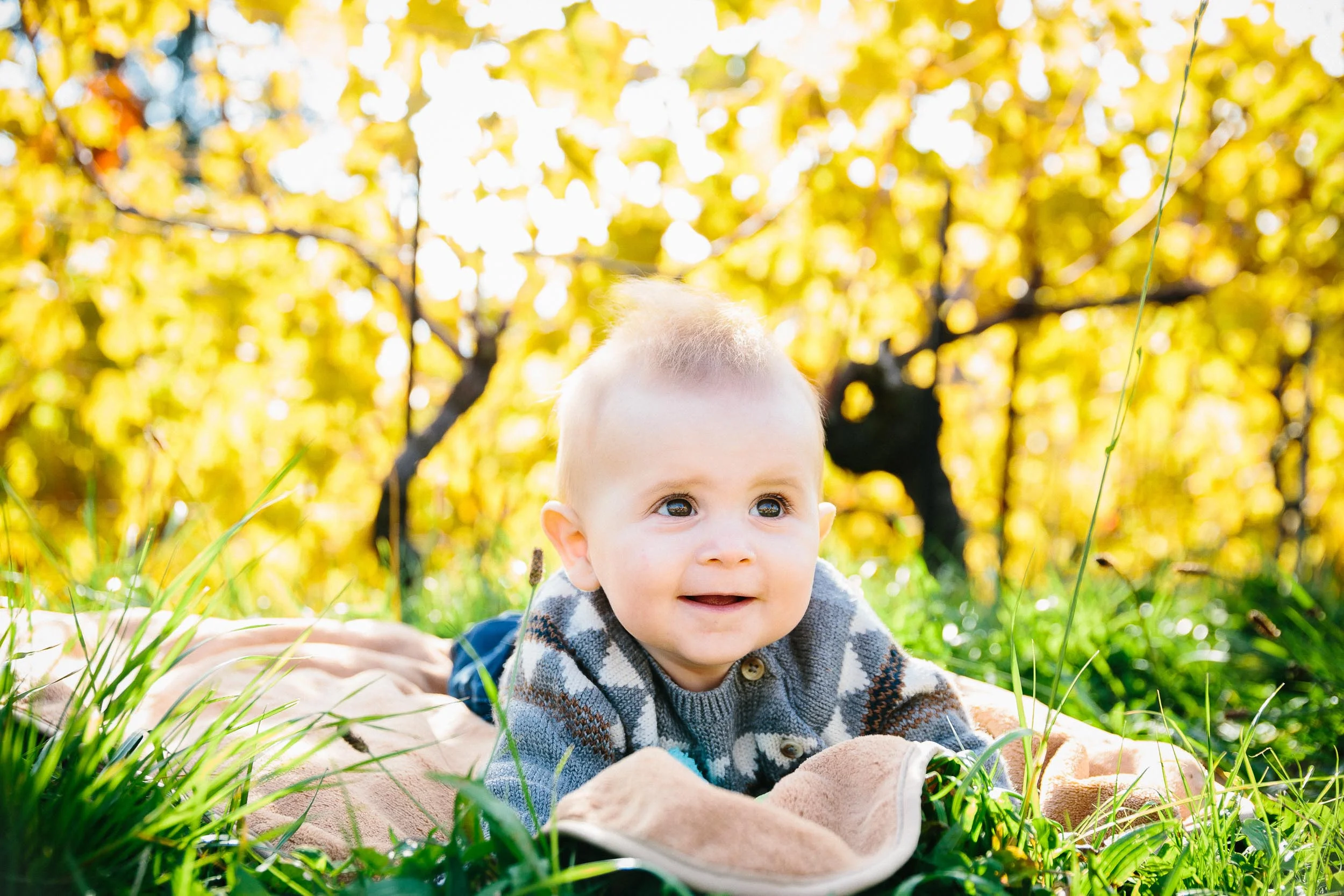 6 month baby Noah