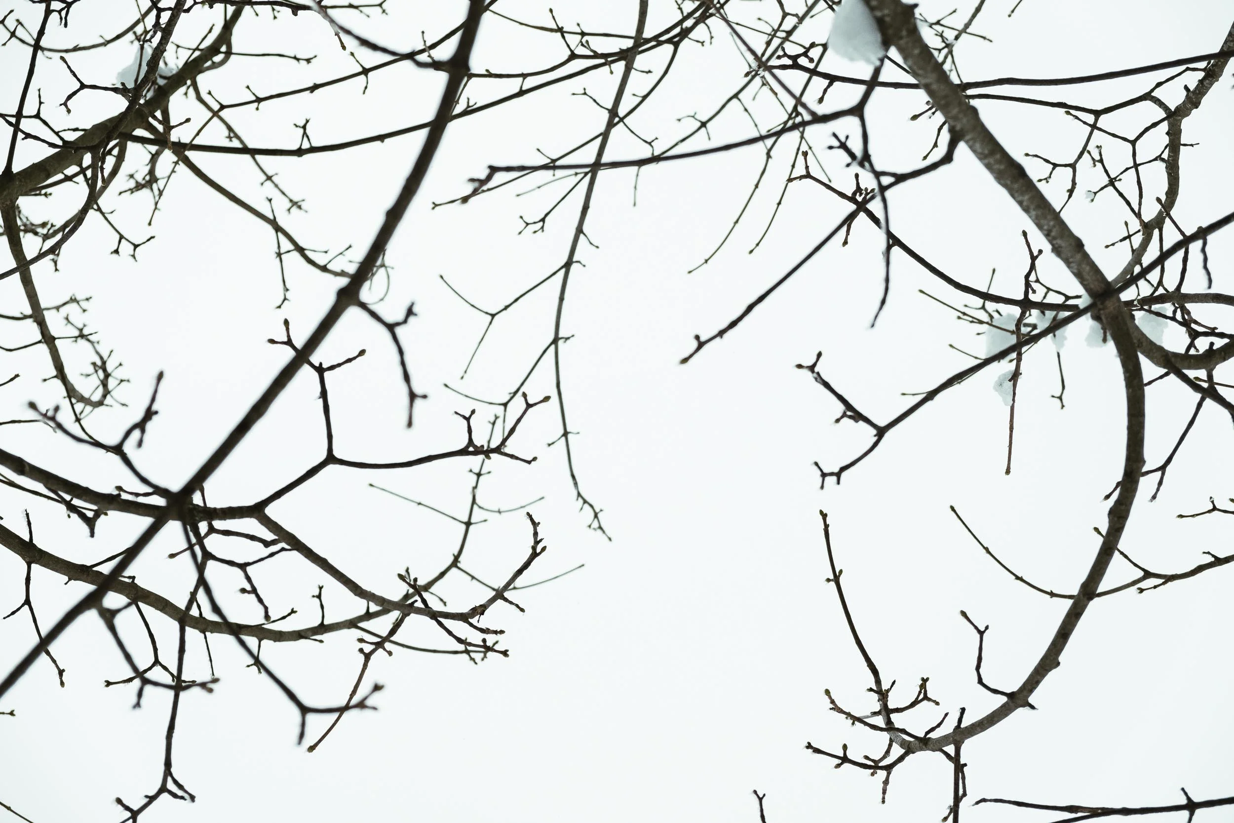 Lines in photographic composition 