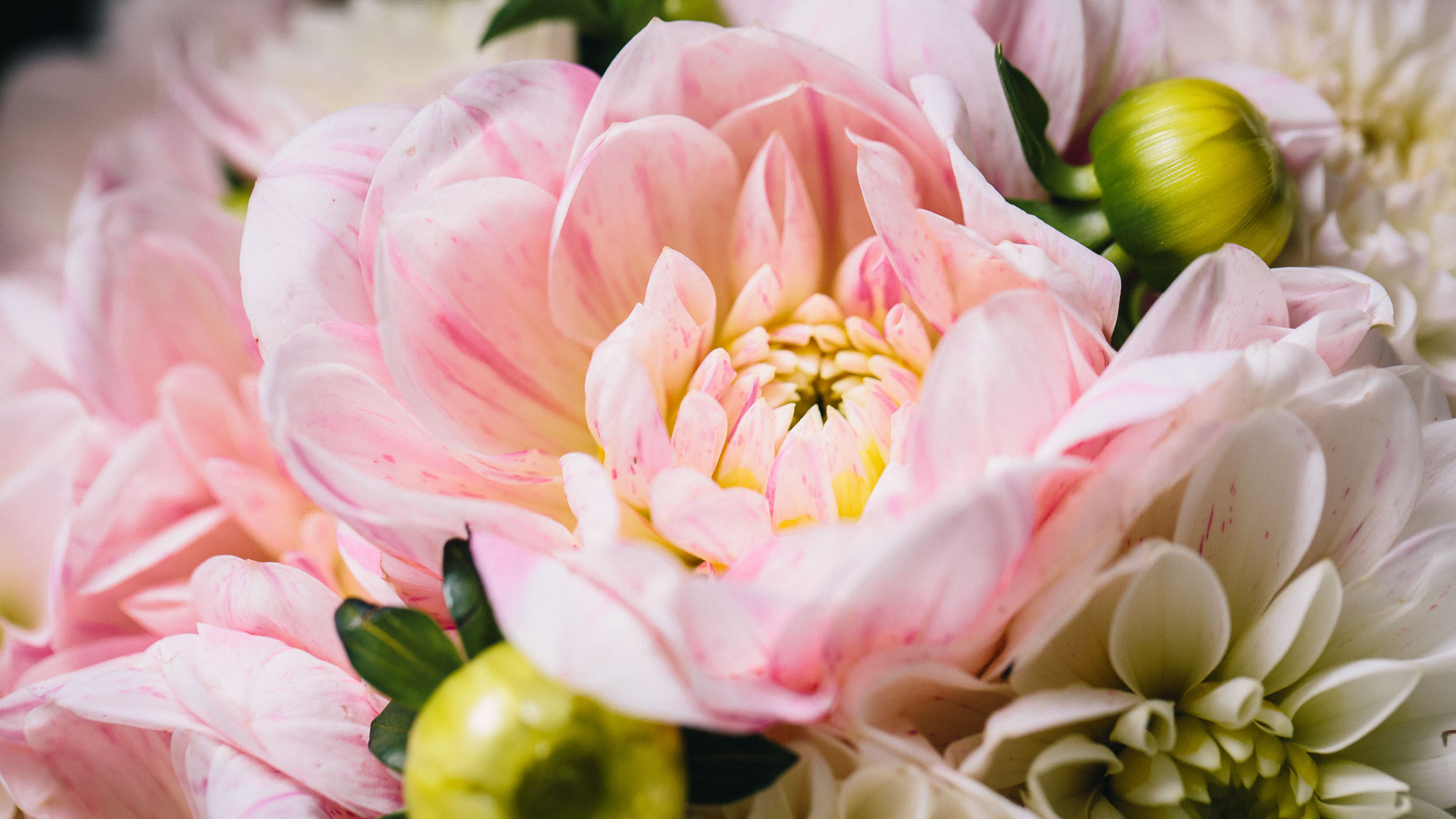 Bouquet mariage rose avec dahlia