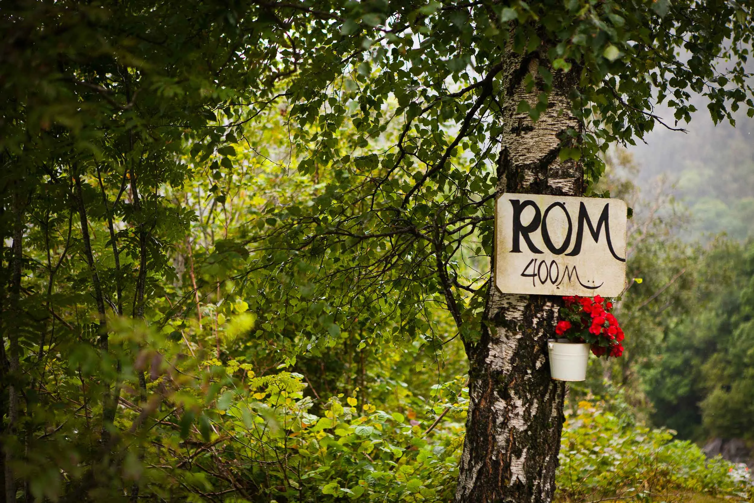 Norwegian rooms for rent sign with flowers