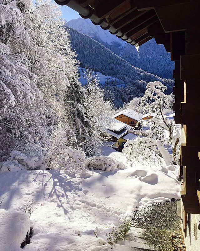 Greetings from Narnia! ❄️ #winterhascome #switzerland #freshsnow