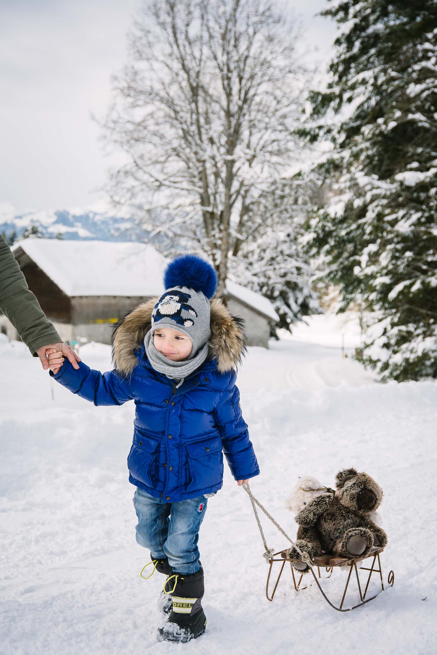A little boy sledges with his parents and teddy in Solalex, Switzerland.