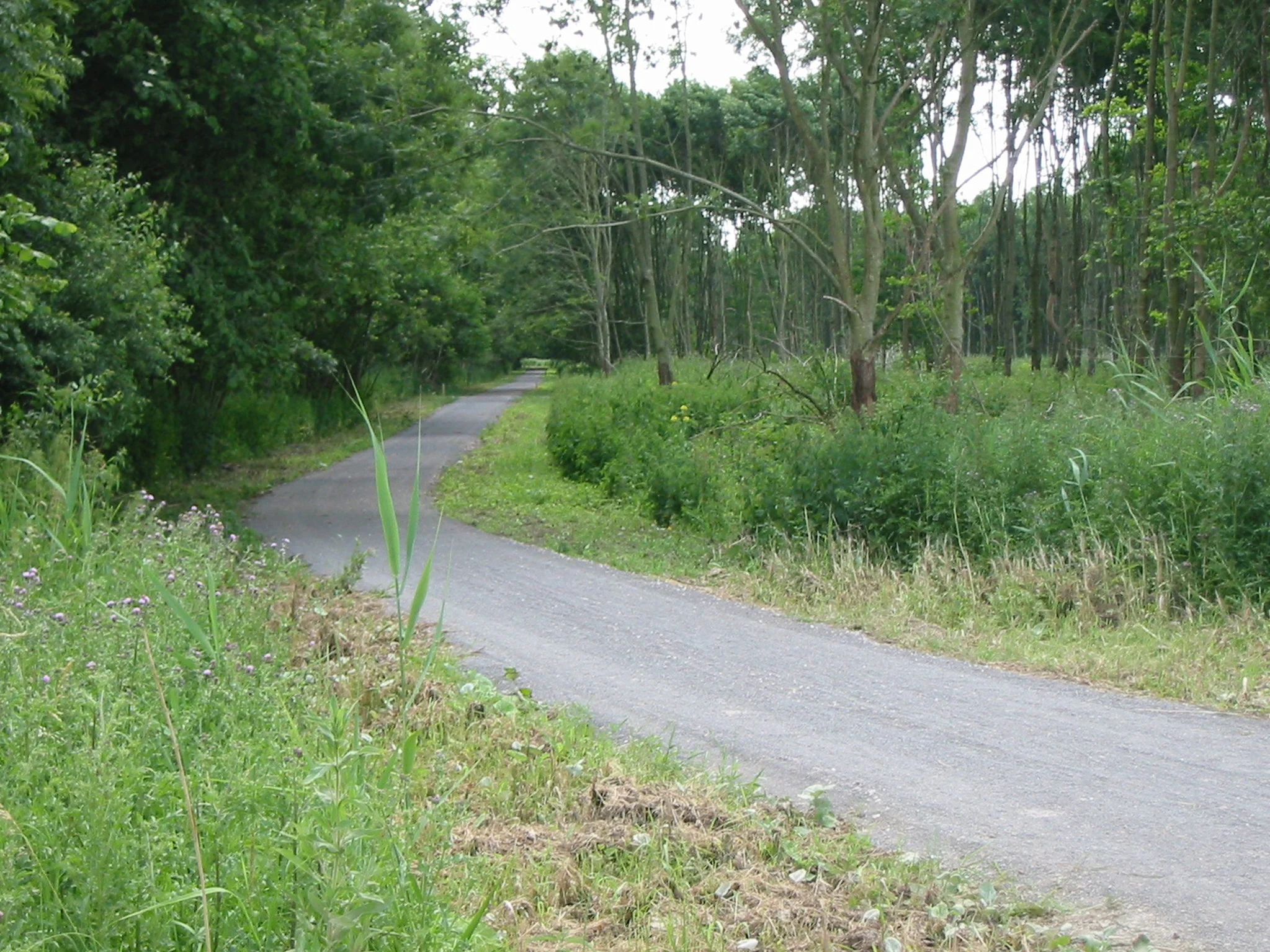 2 1 10 ALMOVP nieuw pad 147-4711_IMG.jpg