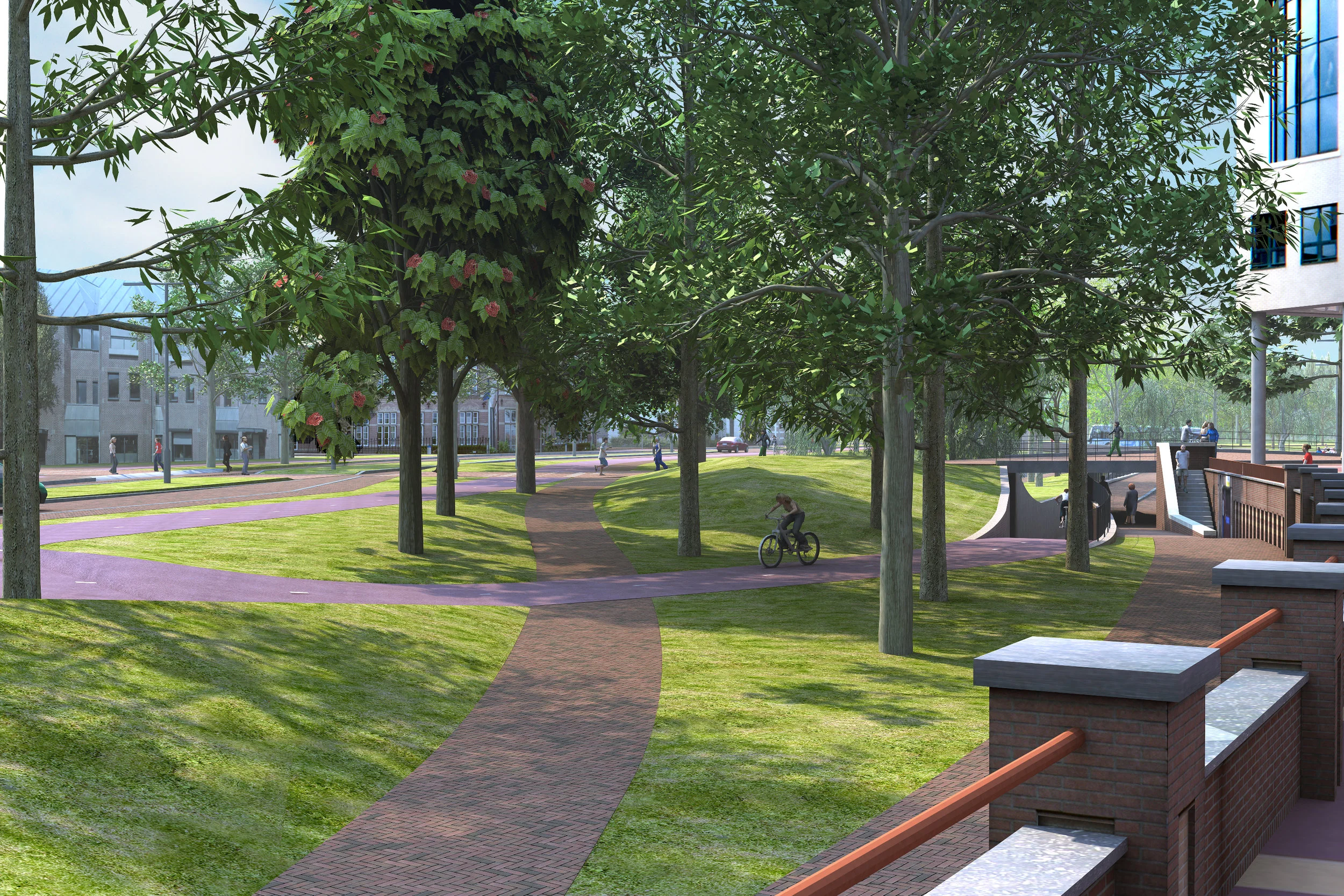 3 4 7 camera110001 copy.jpg