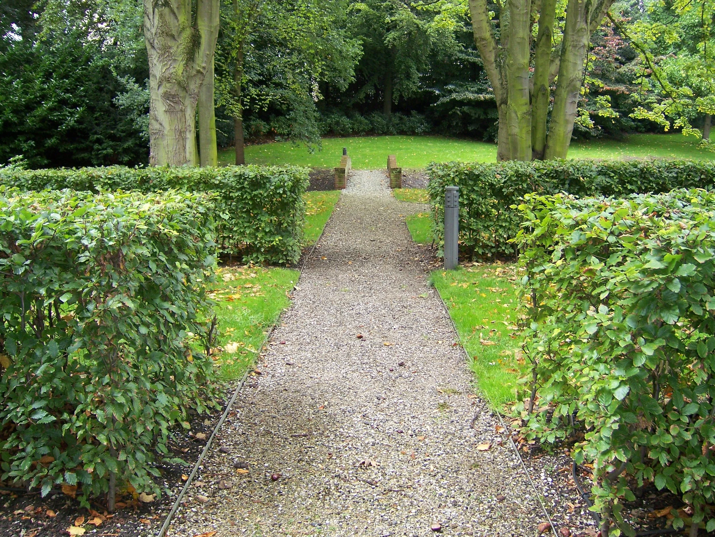 4 1 6 100_1475.jpg