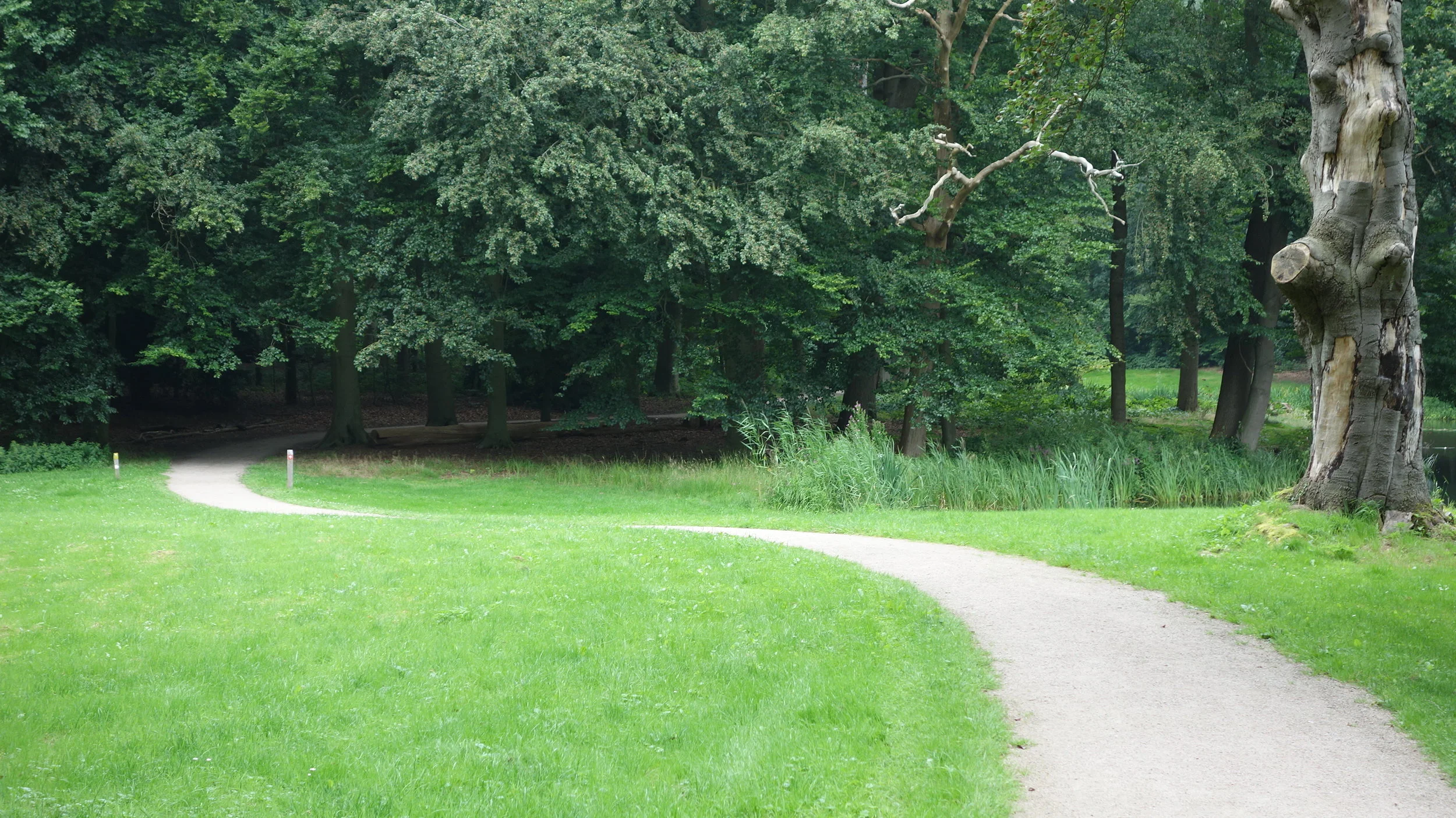 4 2 8 DSC05559.JPG