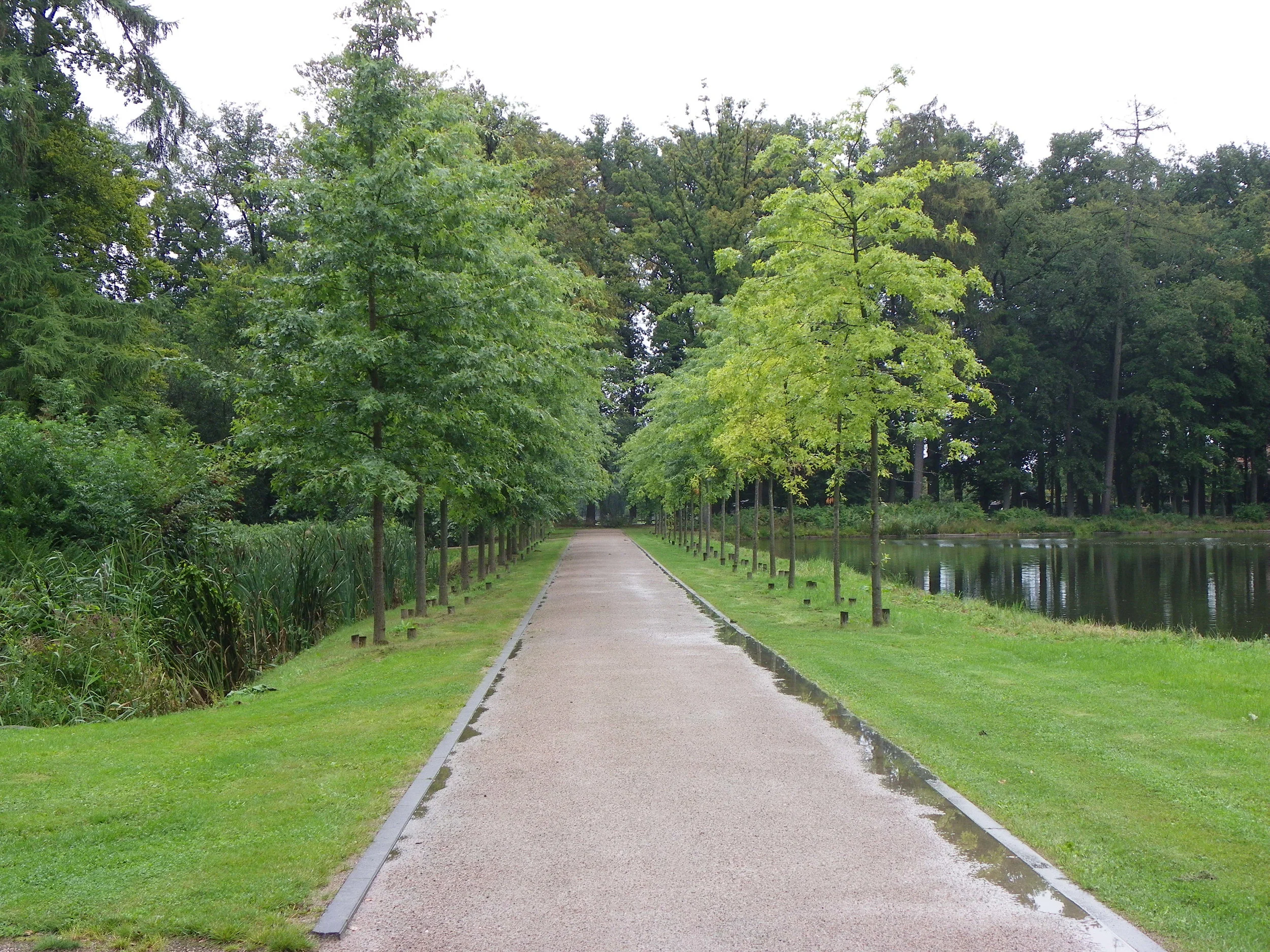 4 3 9 IMGP7880.JPG