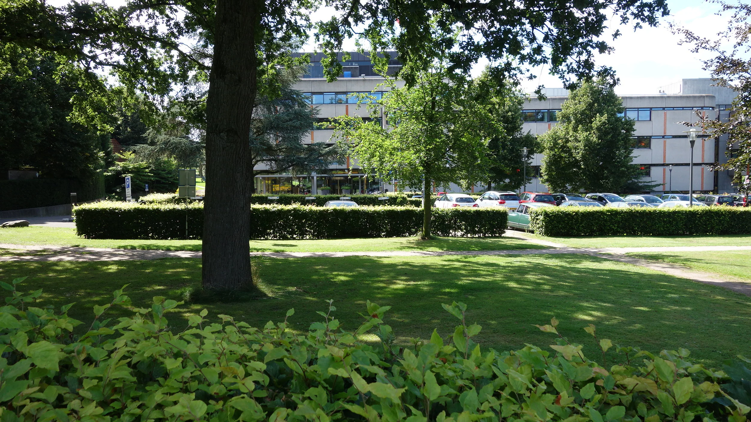 5 5 5 DSC05644.JPG