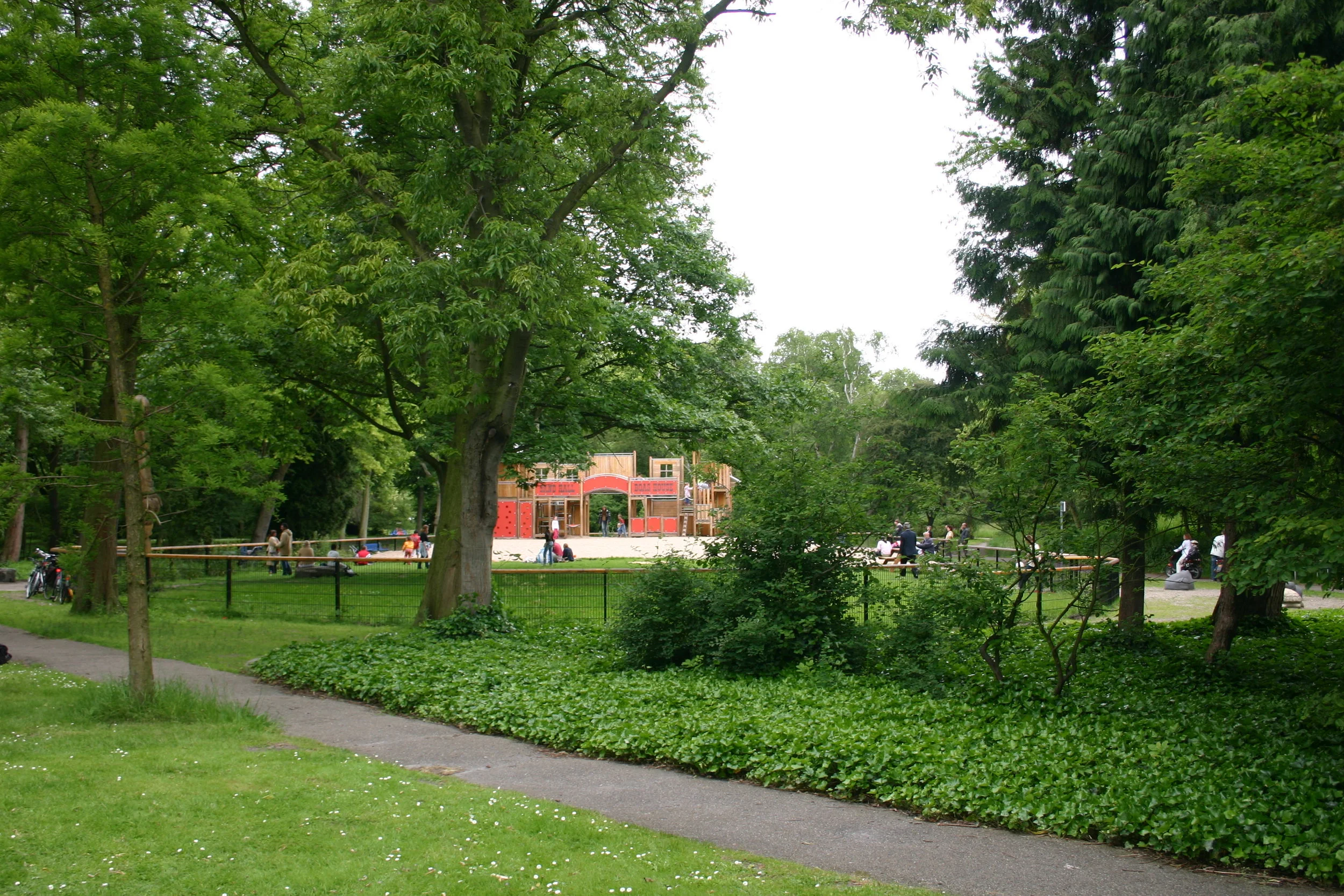 5 4 10 IMG_8250.JPG