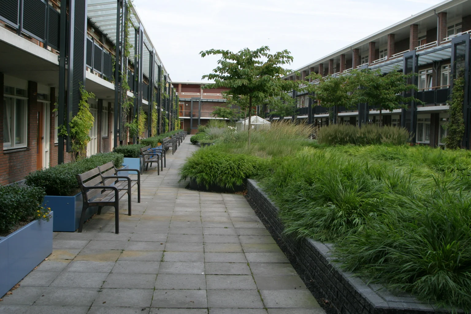 5 8 4 CRW_9649.JPG
