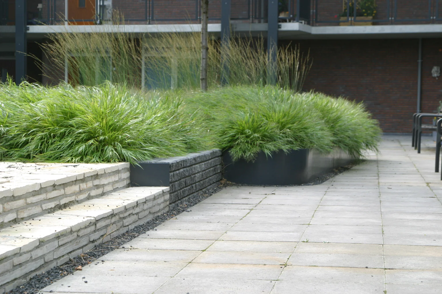 5 8 5 CRW_9652.JPG