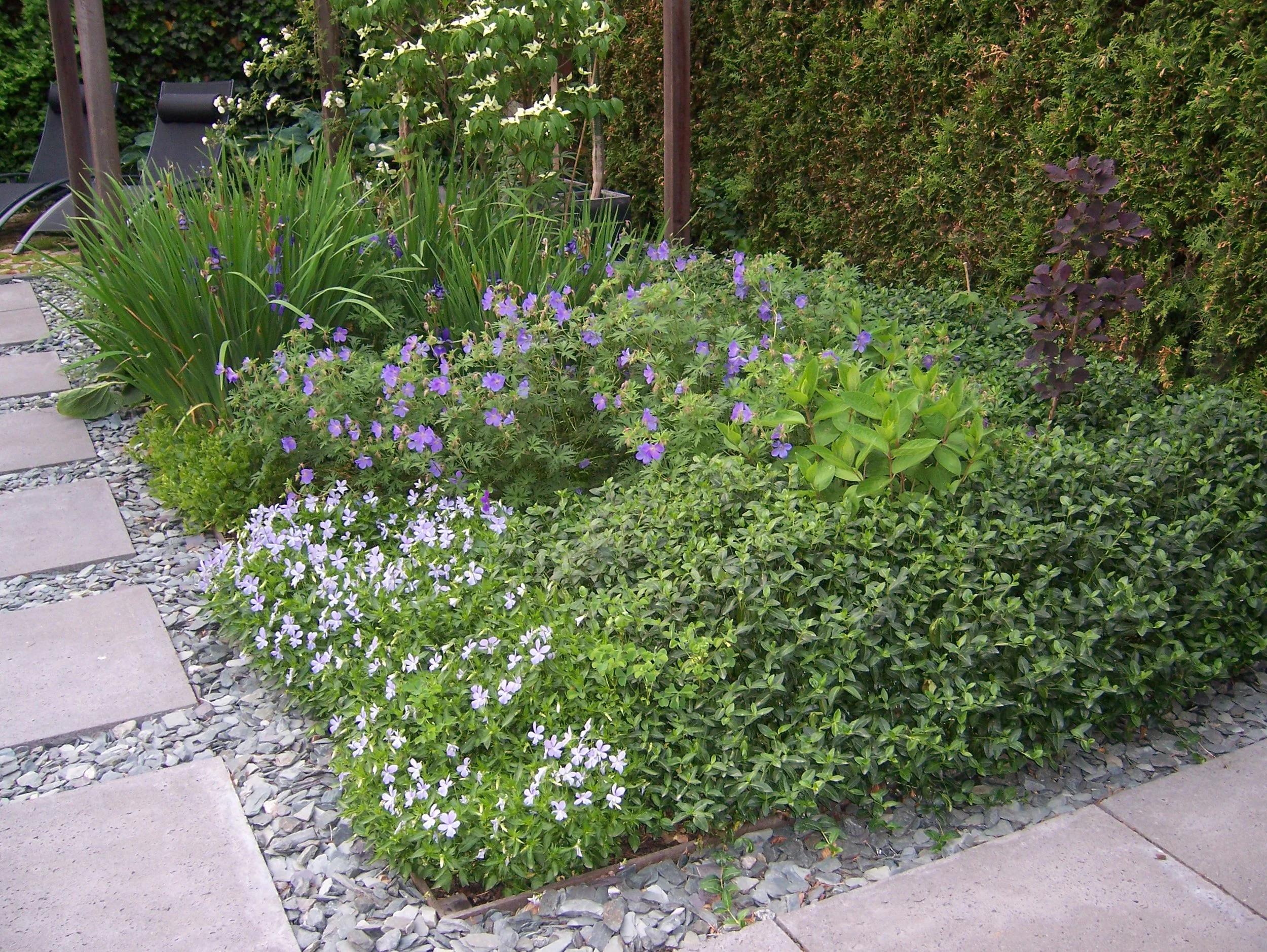 5 12 6 100_2521.jpg