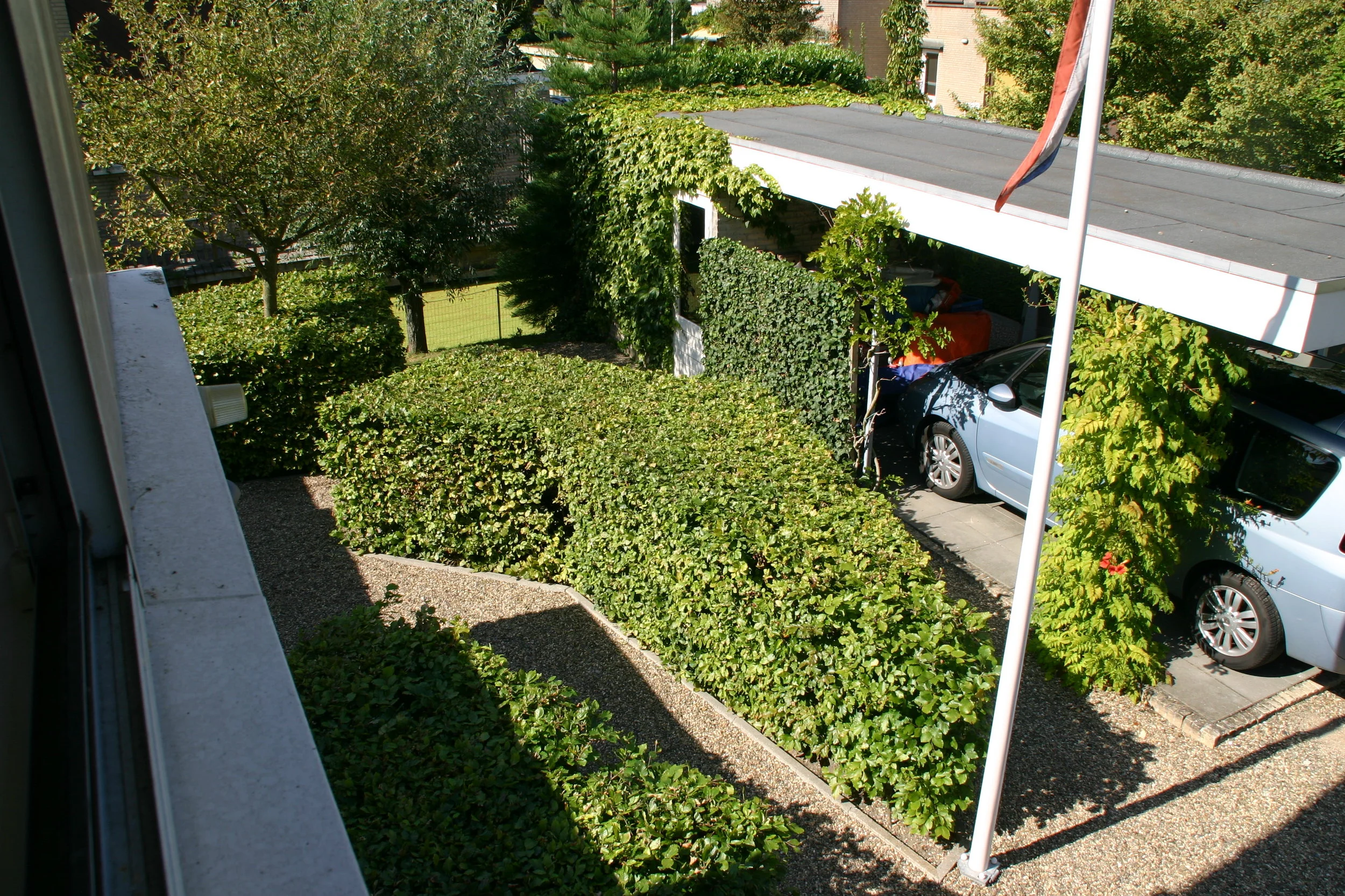 5 12 7 IMG_7479.JPG
