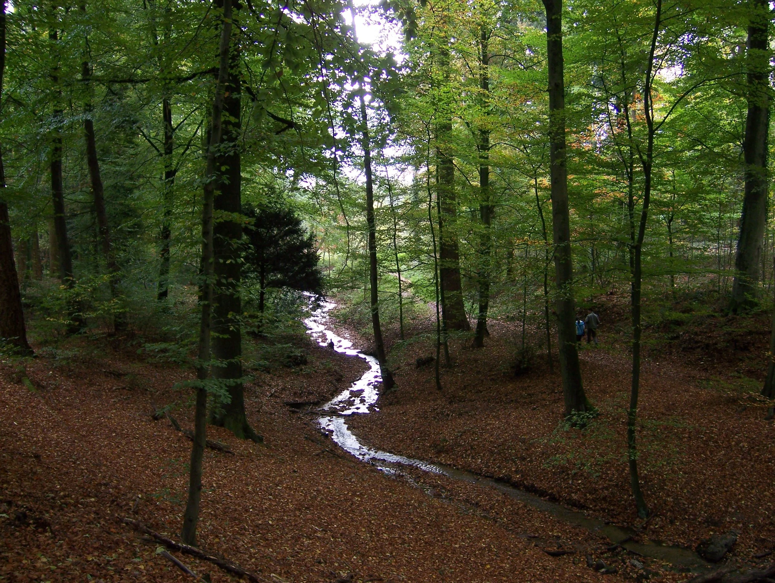 4 6 2 100_1516.jpg