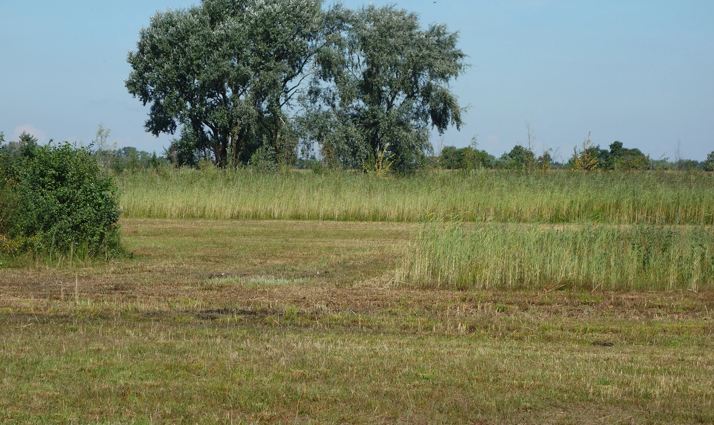 2 3 10 DSC05759.JPG