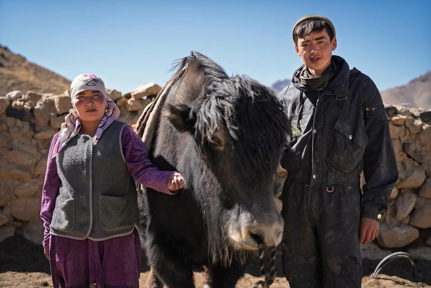 Yak herders of Tajikistan. 
Ft. Sizeable goat herd. 🐐