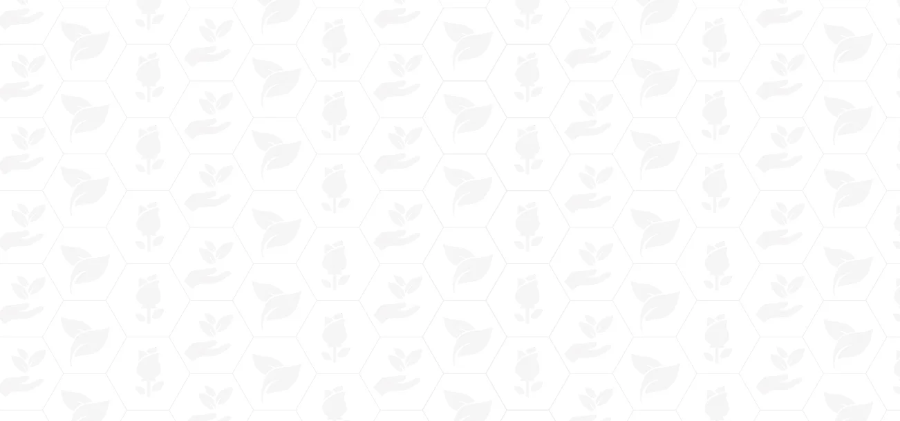 FONDO.jpg