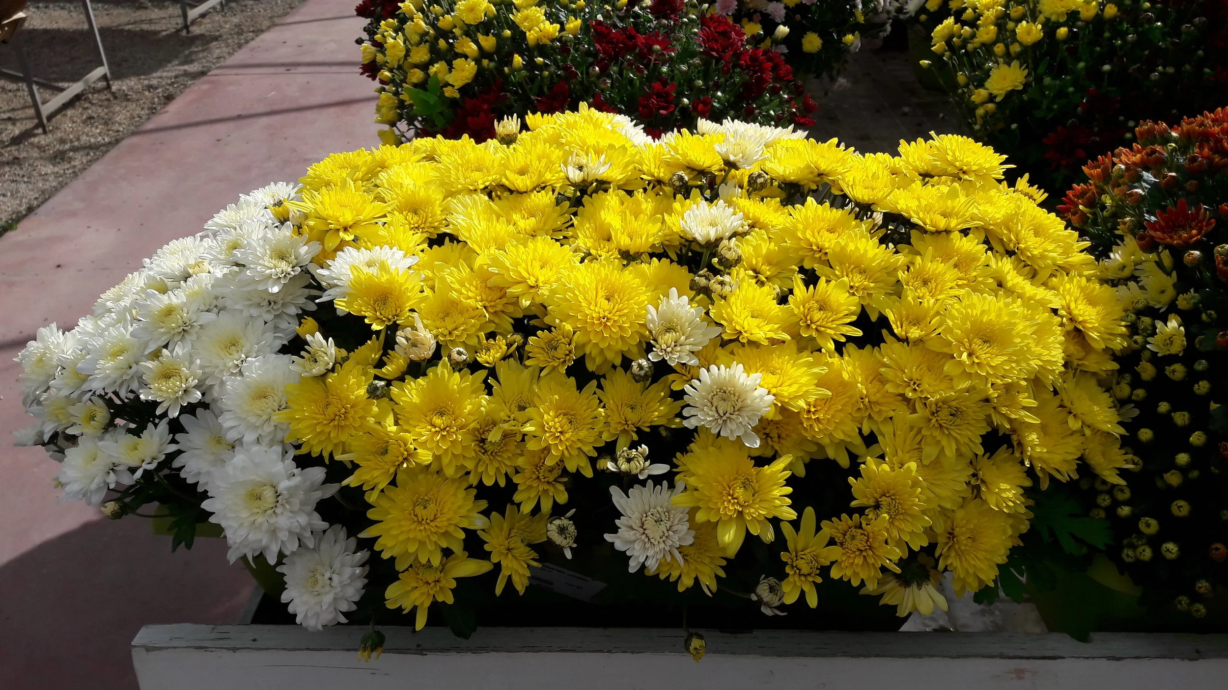 20171024_143227.jpg