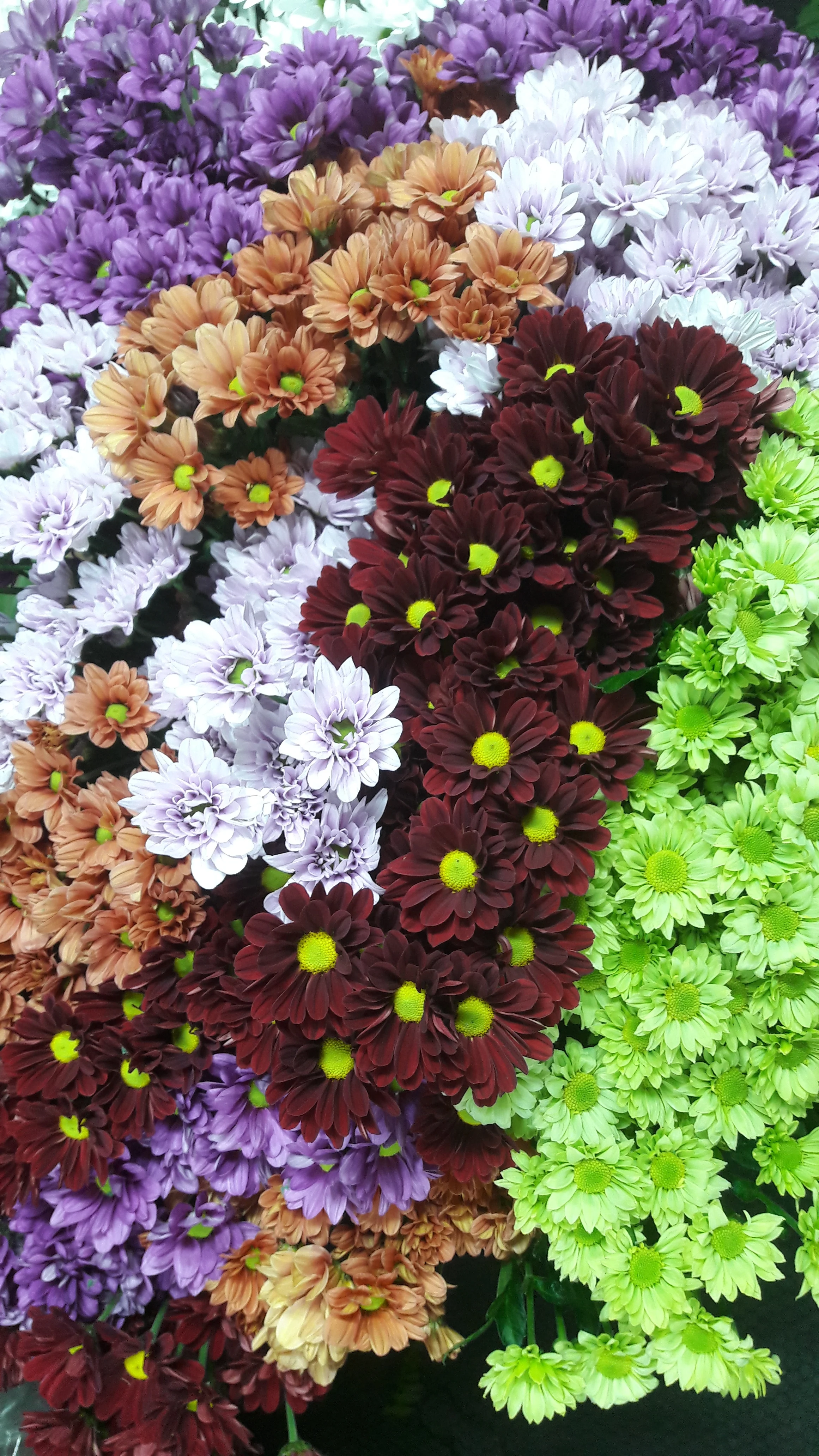 20171026_102248.jpg