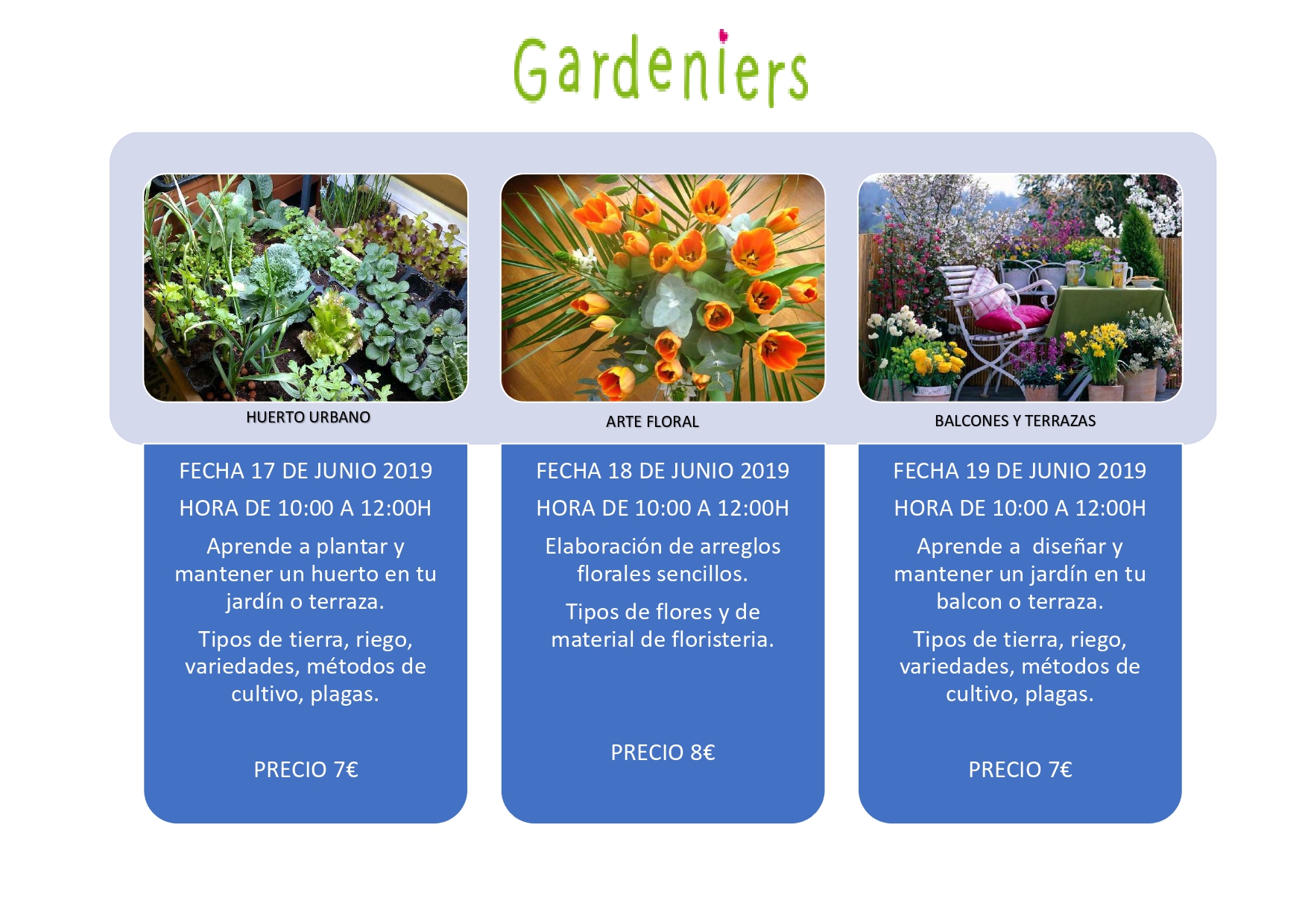 Gardeniers Organiza Tres Talleres Para El Cuidado De Plantas