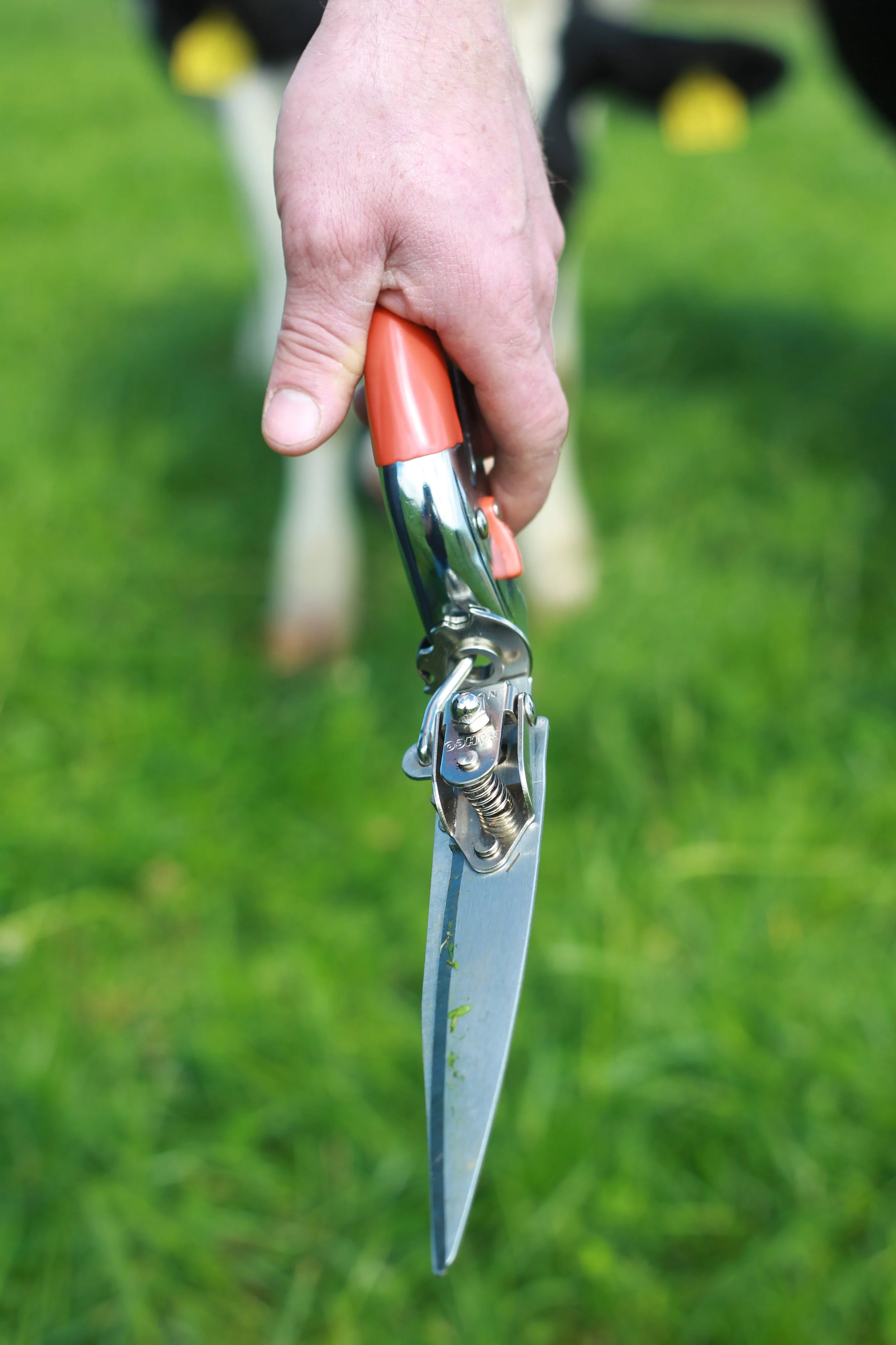 "We enjoy nature and want to foster it hand in hand with a productive, profitable dairy farm.”